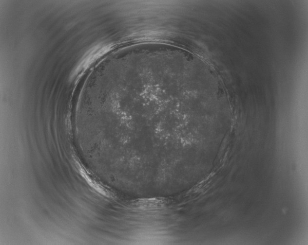 X0000078020050200611031506