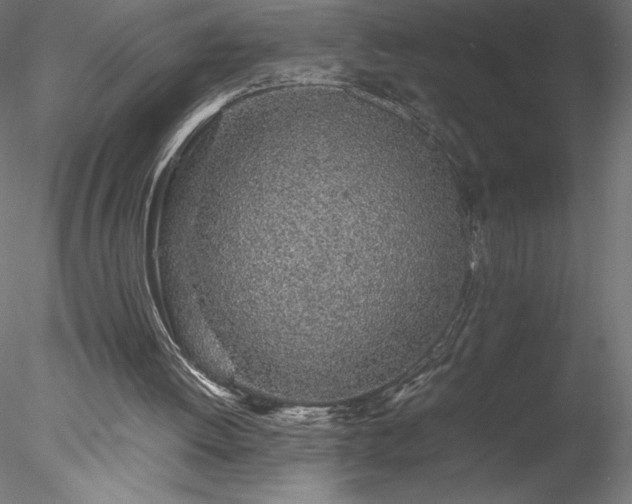 X0000078020052200611031506