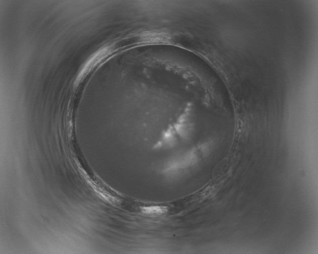 X0000078020053200611031506