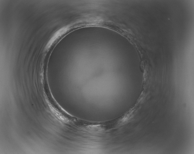 X0000078020054200611031506