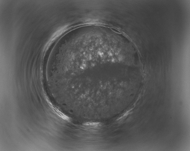 X0000078020055200611031506