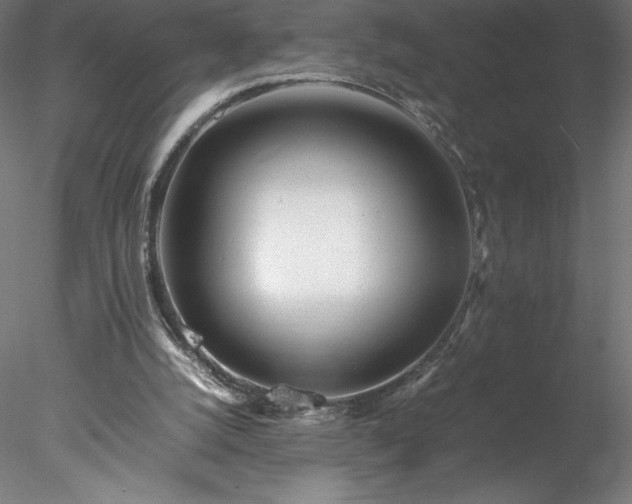 X0000078020056200611031506