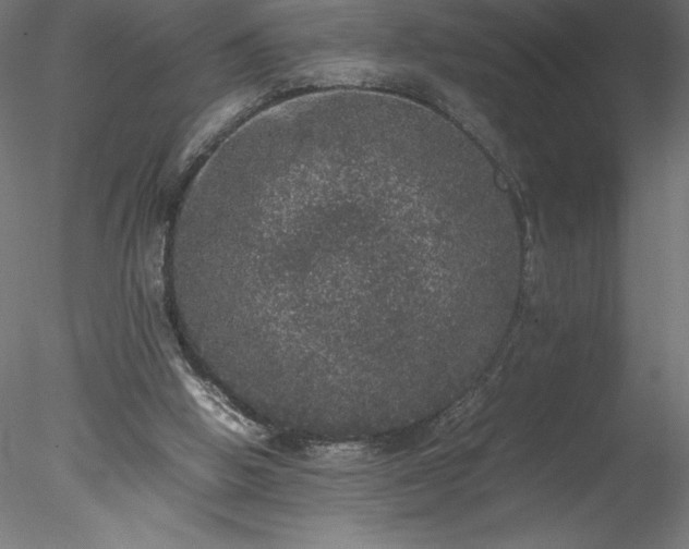 X0000078020058200611031506