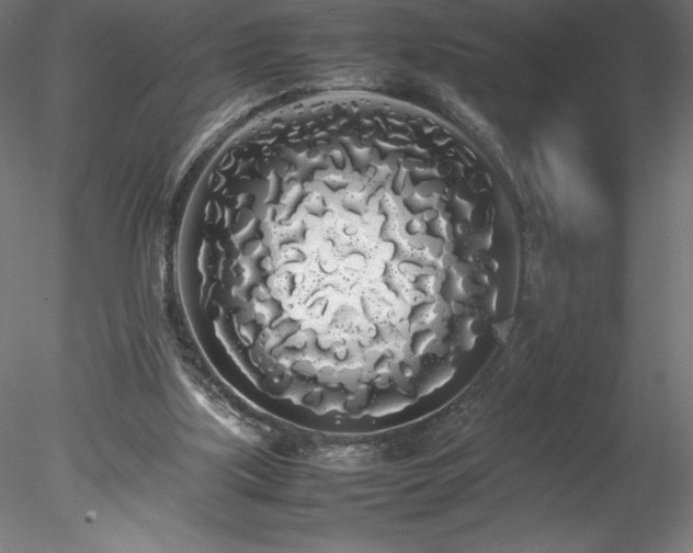 X0000078020059200611031506