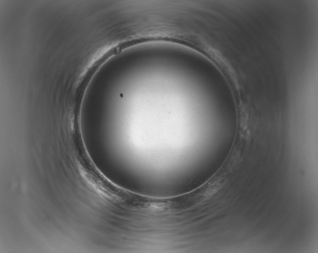 X0000078020060200611031506