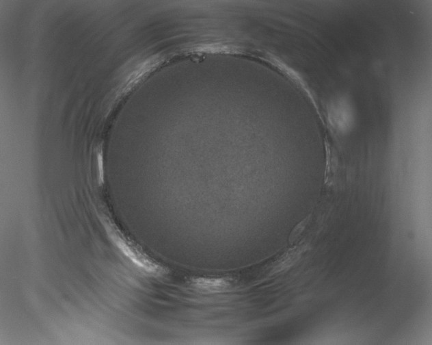 X0000078020061200611031507