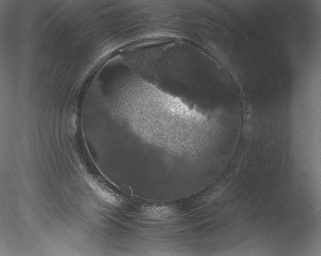 X0000078020063200611031507