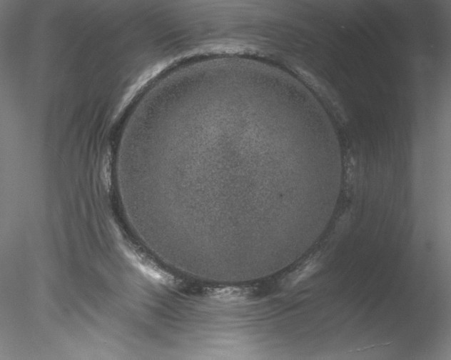 X0000078020064200611031507