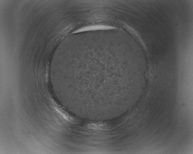 X0000078020065200611031507