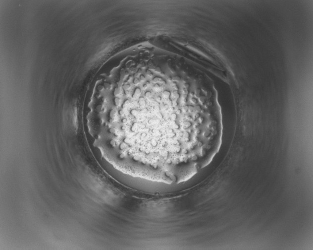 X0000078020067200611031507