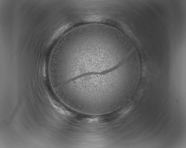 X0000078020068200611031507