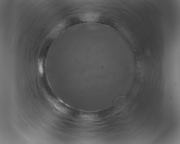 X0000078020069200611031507