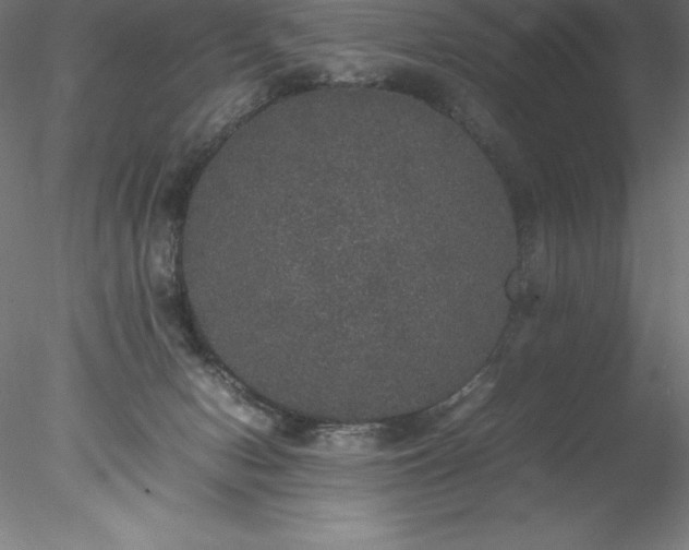 X0000078020078200611031507