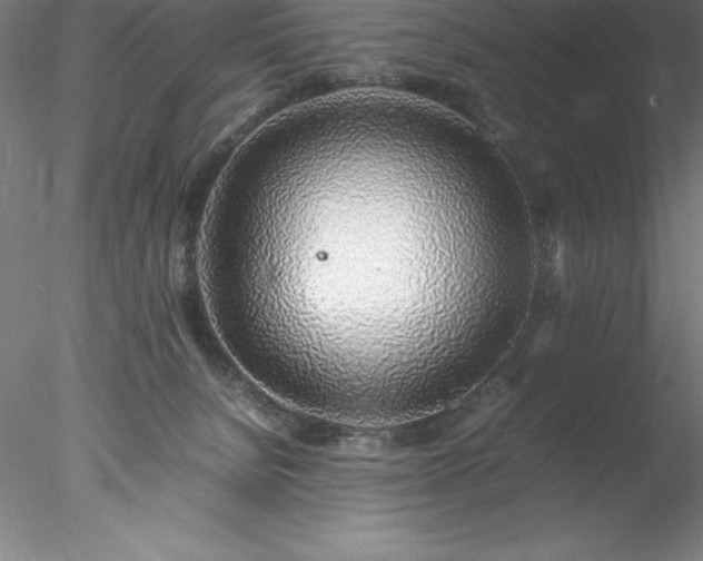 X0000078020080200611031507