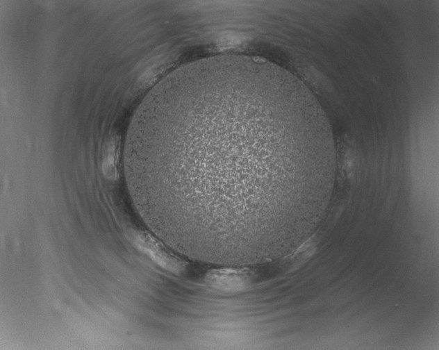 X0000078020082200611031507