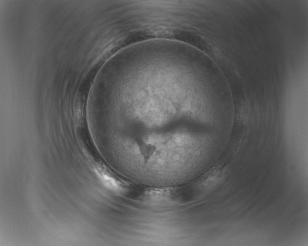 X0000078020084200611031507