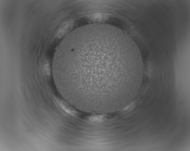 X0000078020086200611031507