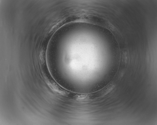 X0000078020088200611031507