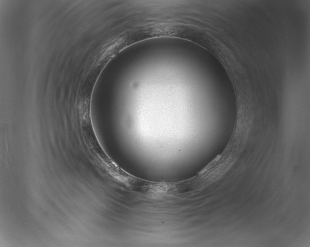 X0000078020096200611031507