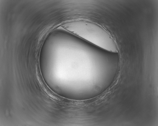 X0000078020097200611031506