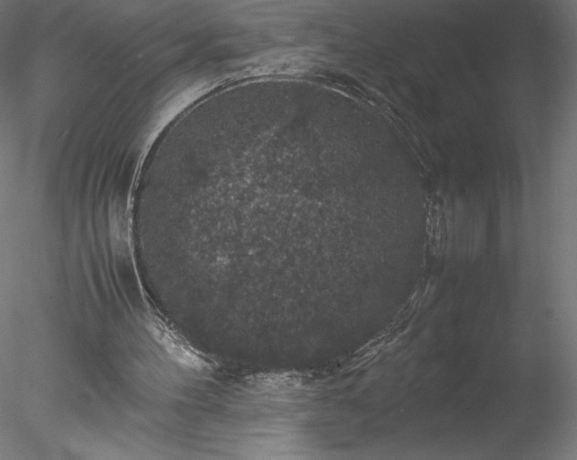 X0000078020100200611031506