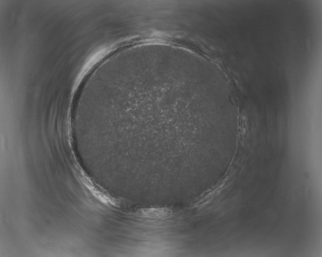 X0000078020102200611031506