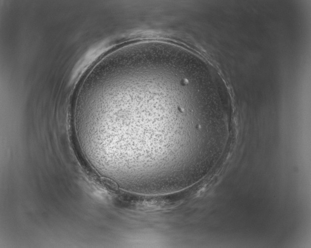 X0000078020103200611031506