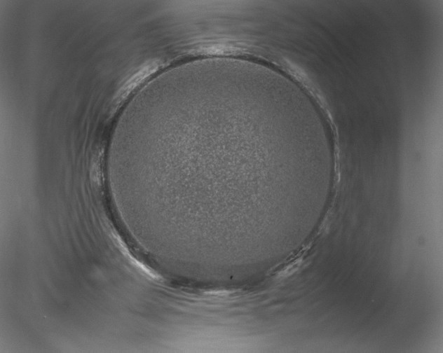 X0000078020105200611031506