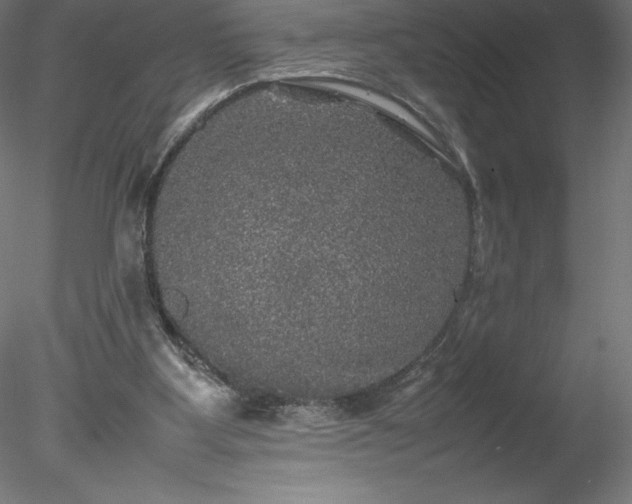 X0000078020107200611031506