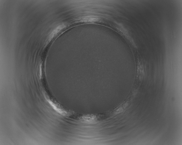 X0000078020110200611031506