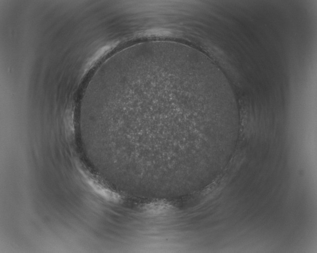 X0000078020112200611031506