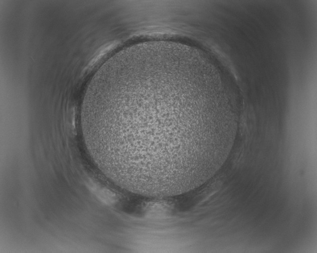 X0000078020115200611031506