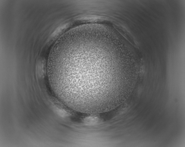 X0000078020119200611031506