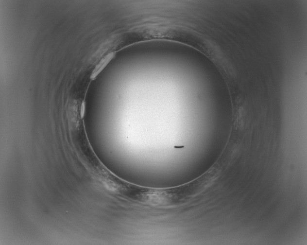 X0000078020121200611031506