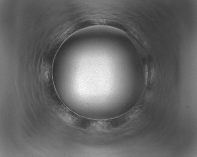 X0000078020125200611031506