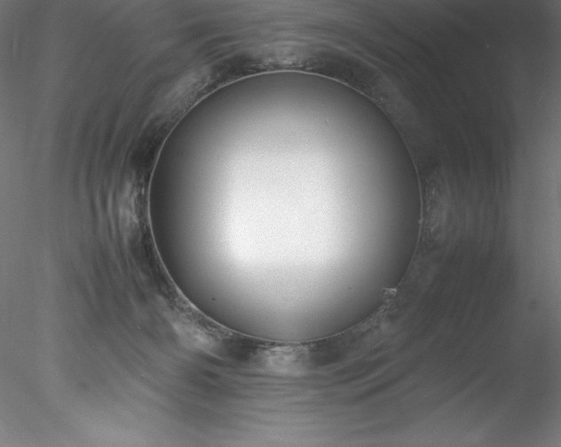 X0000078020126200611031506