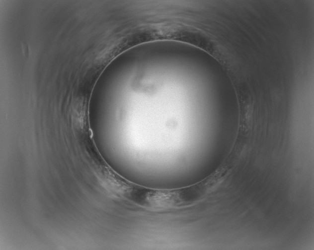 X0000078020129200611031506