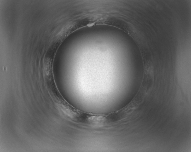 X0000078020133200611031506