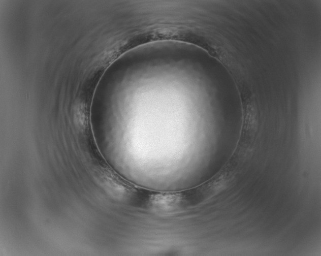 X0000078020135200611031506