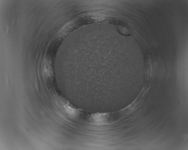 X0000078020136200611031506