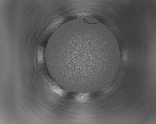 X0000078020138200611031506