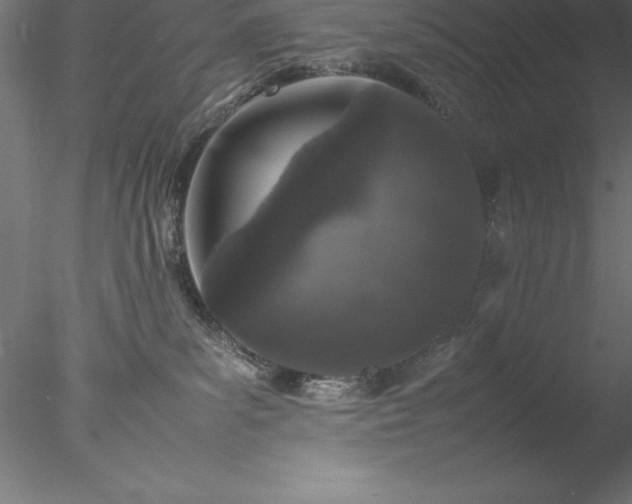 X0000078020139200611031506