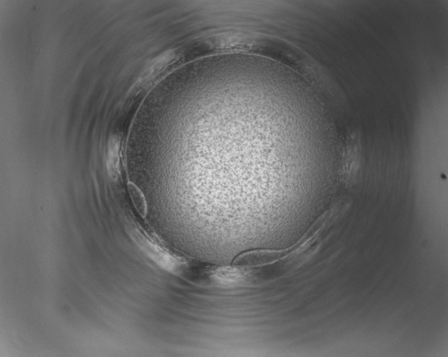 X0000078020142200611031506