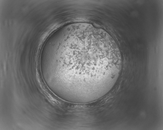 X0000078020145200611031505