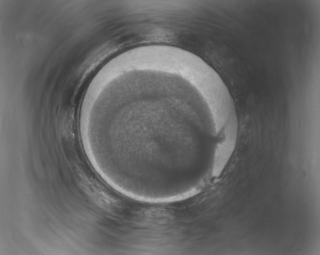 X0000078020146200611031505