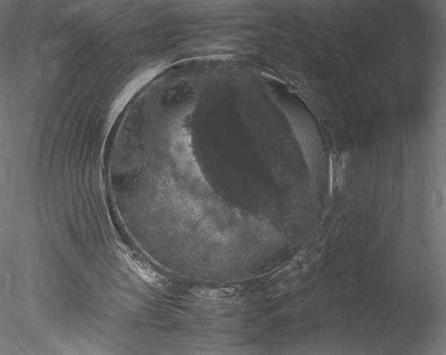 X0000078020147200611031505