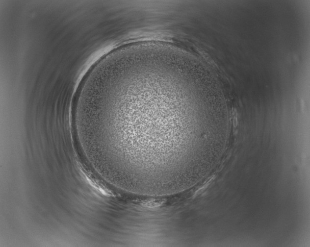 X0000078020148200611031505