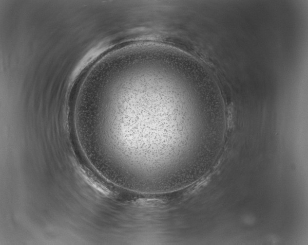 X0000078020150200611031505