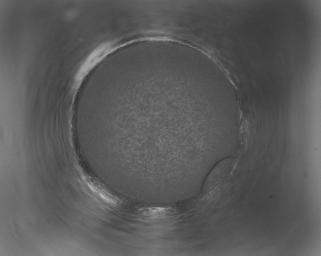 X0000078020151200611031505