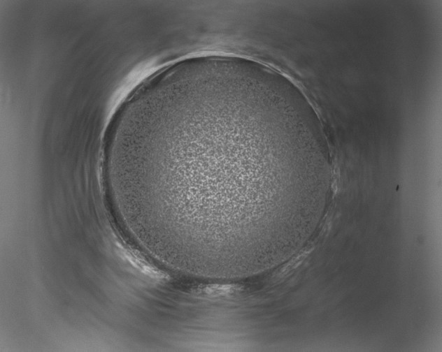 X0000078020152200611031505